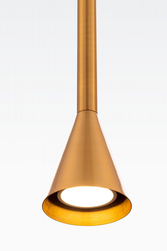 Подвесной светильник Maytoni Technical P064PL-01G