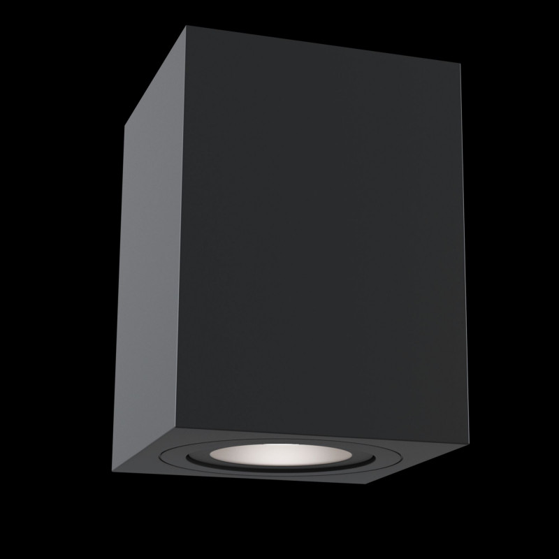 Накладной светильник Maytoni Technical C017CL-01B