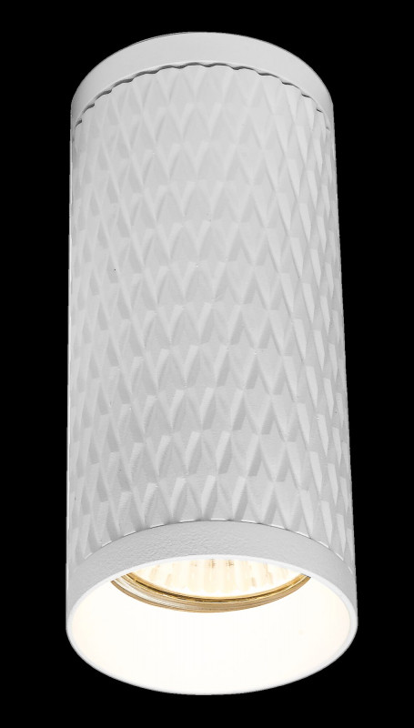 Накладной светильник Maytoni Technical C036CL-01W